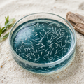 Pacific White Shrimp Post-Larvae — 200ct